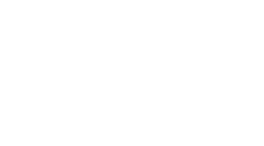 Perfect Doc Studio